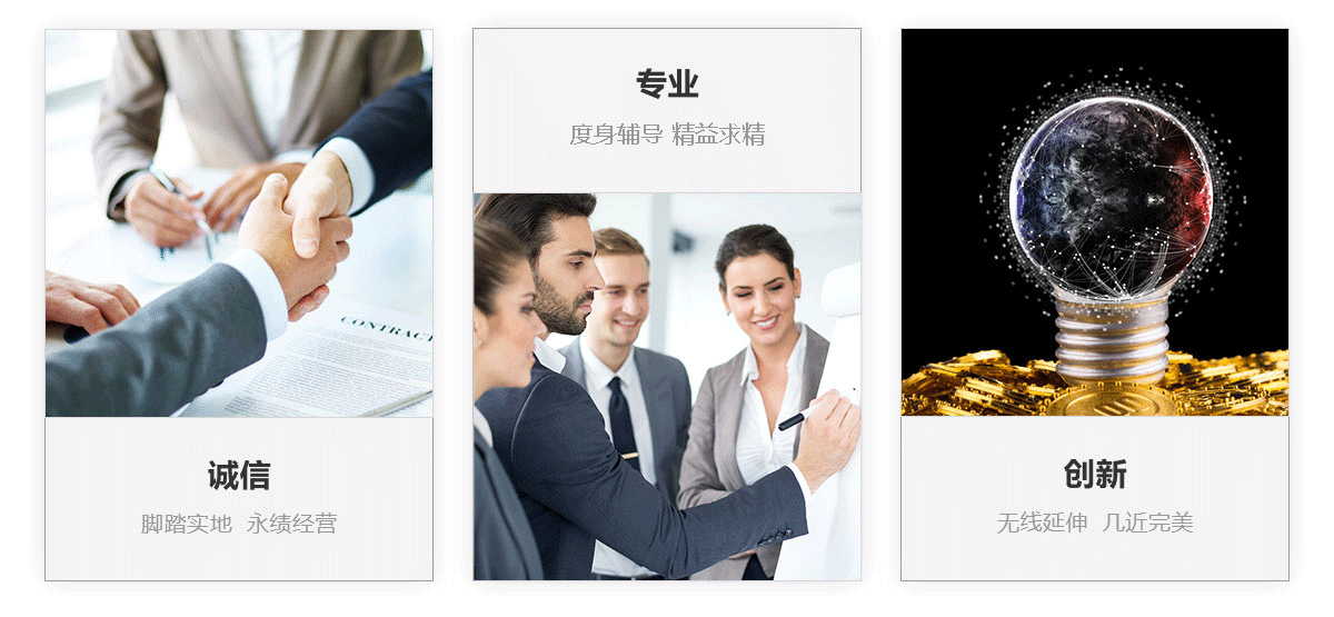 我们的理念(图1)